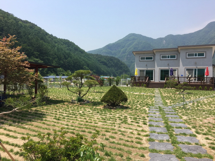 동강스토리
