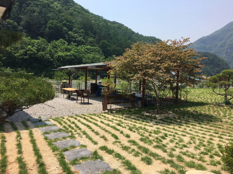 동강스토리